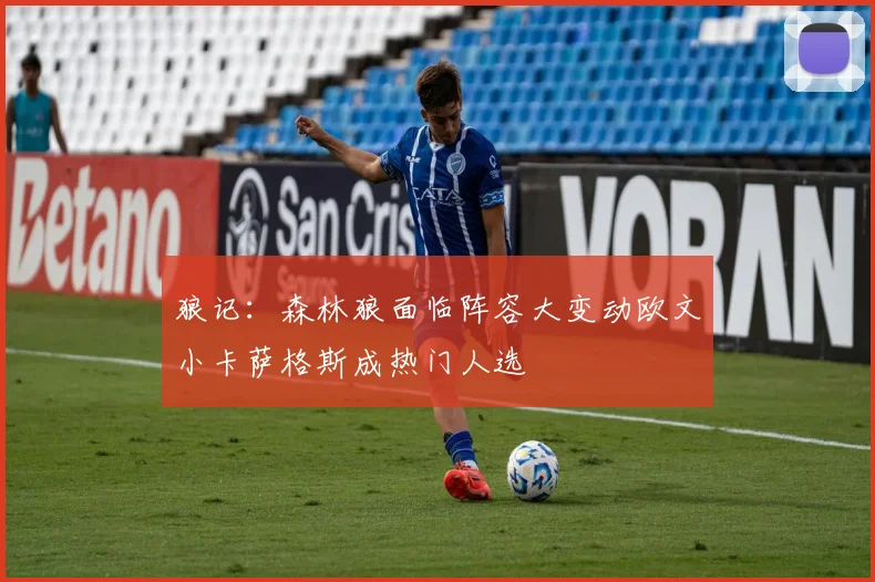 狼记：森林狼面临阵容大变动欧文小卡萨格斯成热门人选