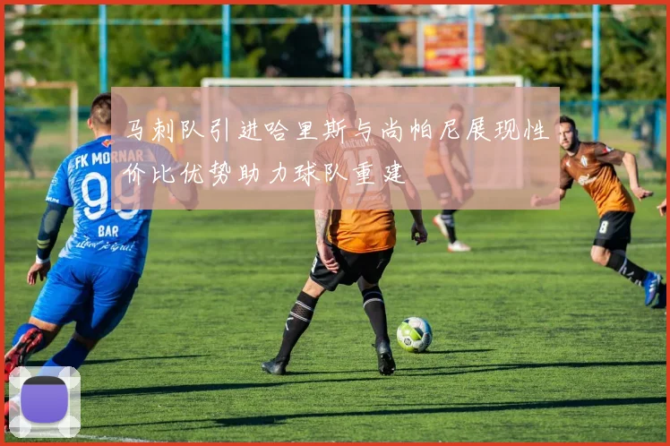 马刺队引进哈里斯与尚帕尼展现性价比优势助力球队重建