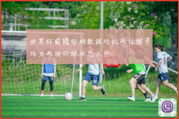 世界杯前瞻哈姆数据对比两位球员均为两场四球状态火热