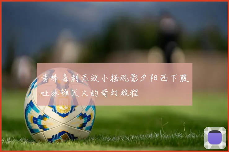 黄蜂毒刺无效小杨观影夕阳西下腹吐冰锥灭火的奇幻旅程